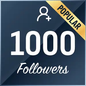 buy 1000 instagram followers