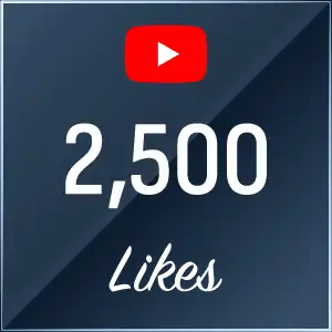 Buy 2500 Youtube Likes