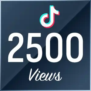 Buy 2500 TikTok Views