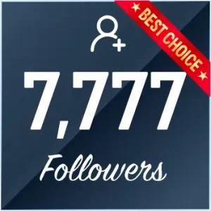 buy 7777 instagram followers